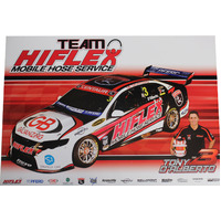 Team Hiflex Tony D'alberto V8 Supercars Poster